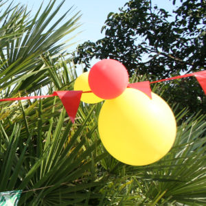 Ballon décoration-anniversaire-koh-lanta