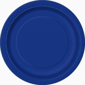 16-grandes-assiettes-en-carton-bleues