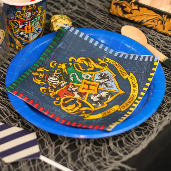 Pack décoration Harry Potter