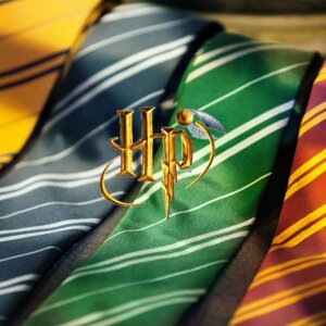 Pack décoration anniversaire Harry Potter