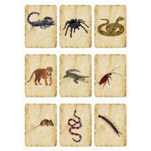 Mémory des animaux