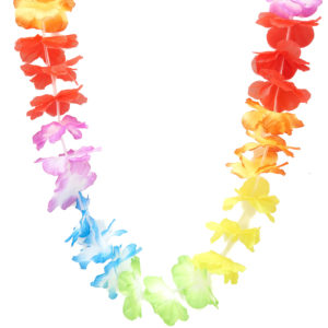 collier hawaïen multicolore