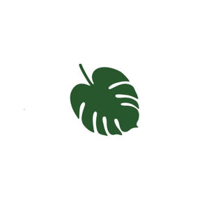 marque place feuille palmier