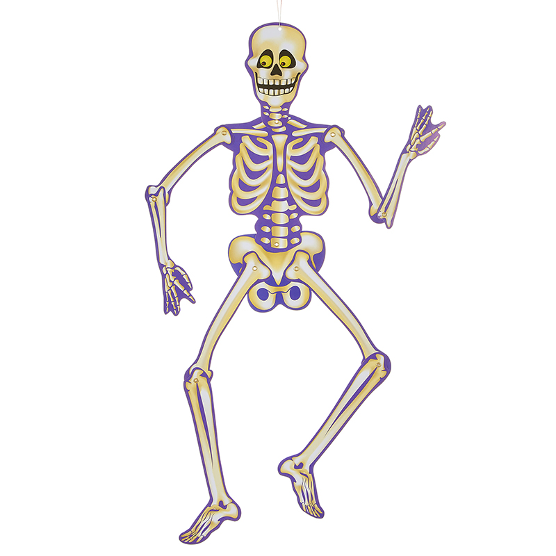squelette à reconstituer