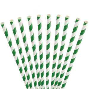 10 pailles rayées vert et blanc