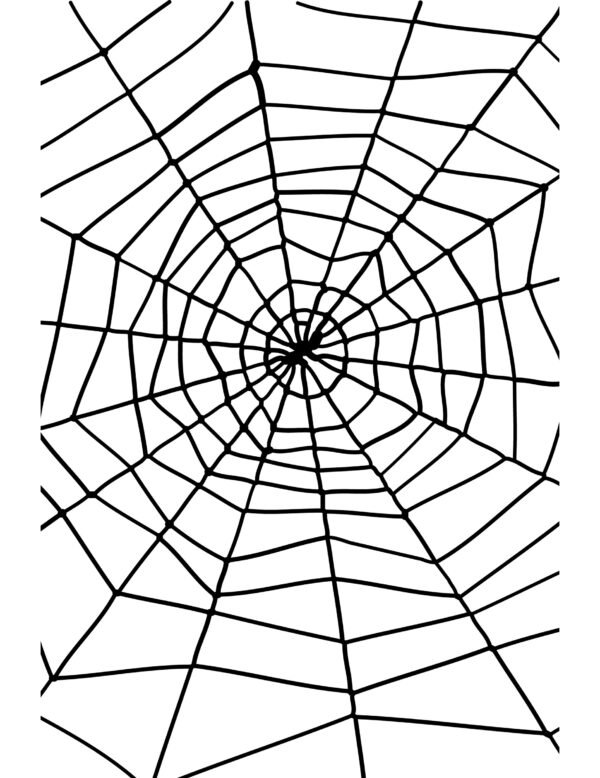 toile d'araignée 1,5 m