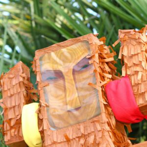 Pack d'animation anniversaire Aventuriers des Iles